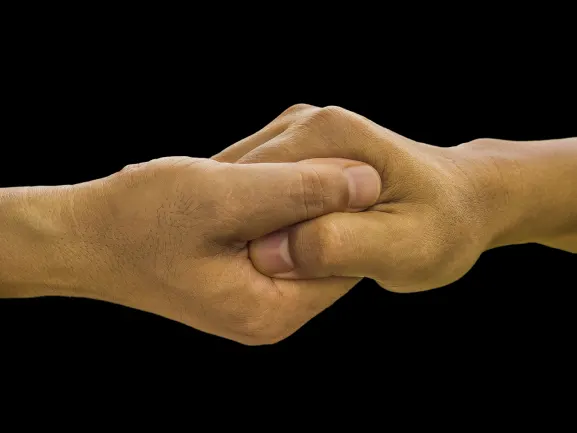 نت بيت كازينو الدعم